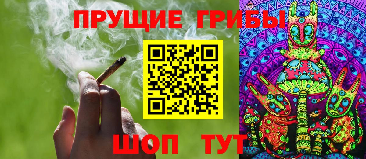 Псилоцибиновые грибы Cubensis  Вход с VPN  Донецк 